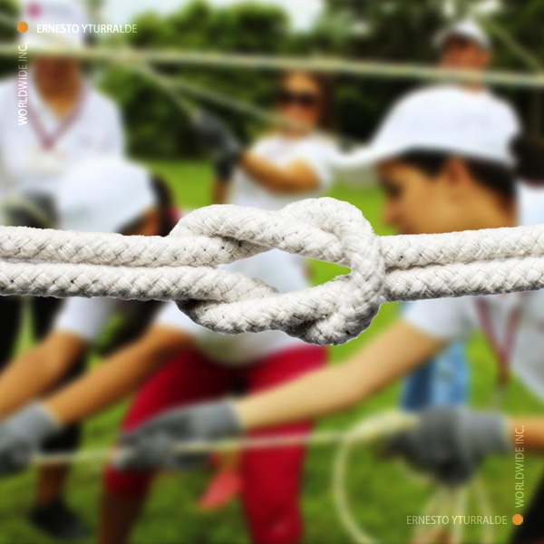 Talleres de Cuerdas Bajas para fortalecer el Trabajo en Equipo